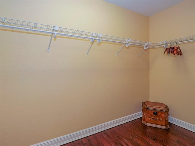 spacious closet with hardwood / wood-style flooring