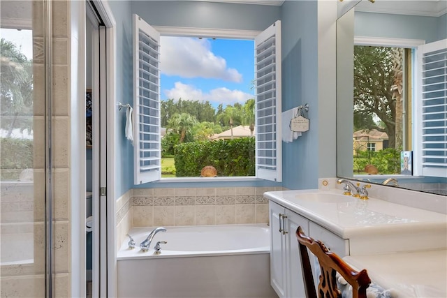 bathroom featuring vanity and separate shower and tub