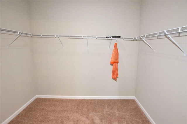 3951 Playa Del Sol Dr Unit 201, Rockledge, FL 32955 - walk in closet featuring carpet flooring