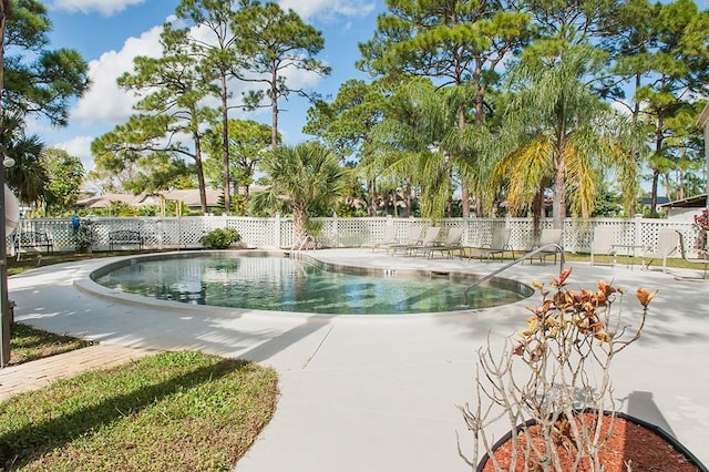 view of swimming pool featuring a patio area