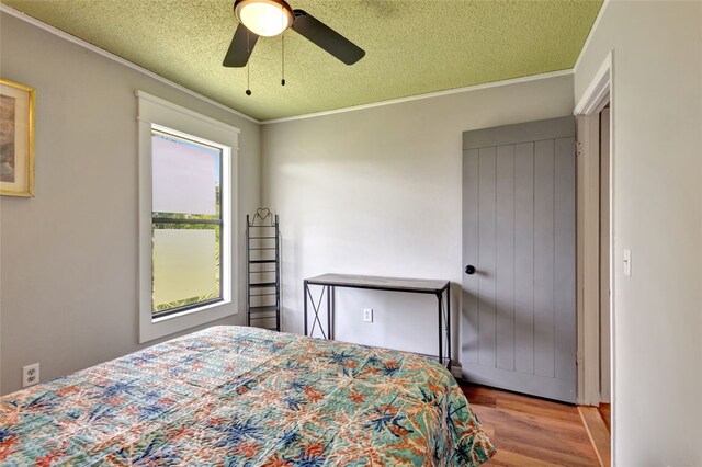 1805 15th St SW, Vero Beach, FL 32962 - bedroom featuring ceiling fan, ornamental molding, a textured ceiling, and wood finished floors