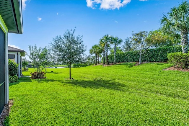 5151 Jasper Sq, Vero Beach, FL 32967 - view of green lawn featuring a water view