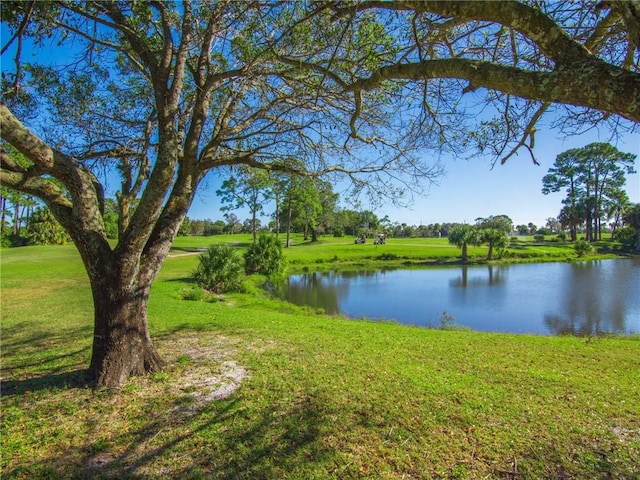 water view