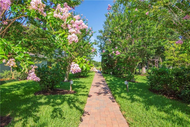 view of home's community featuring a lawn
