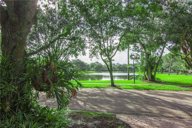 surrounding community with a water view and a lawn