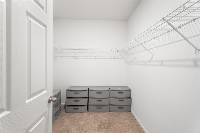 1093 Wabash Rd SE, Palm Bay, FL 32909 - spacious closet with light colored carpet