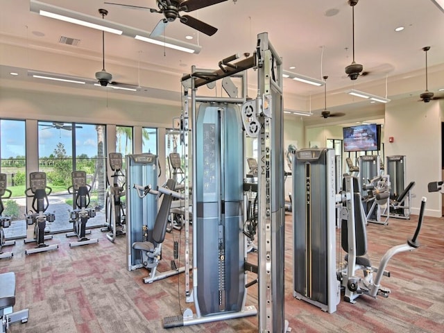 gym featuring carpet and ceiling fan