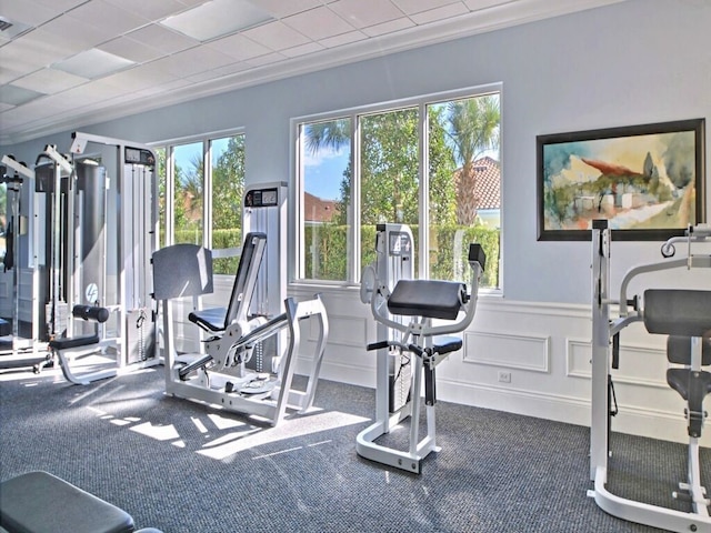 exercise room featuring ornamental molding, carpet, and a healthy amount of sunlight