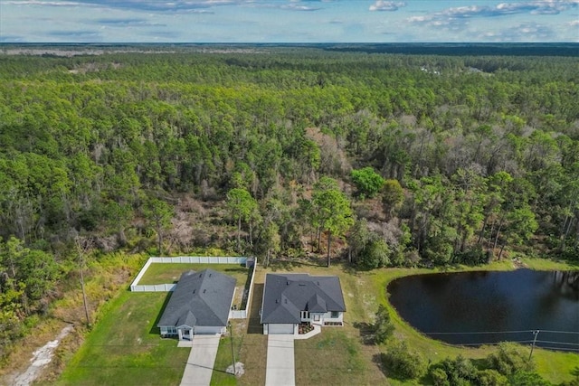 2875 Slater Drive, Deltona, FL 32738 - photo 6