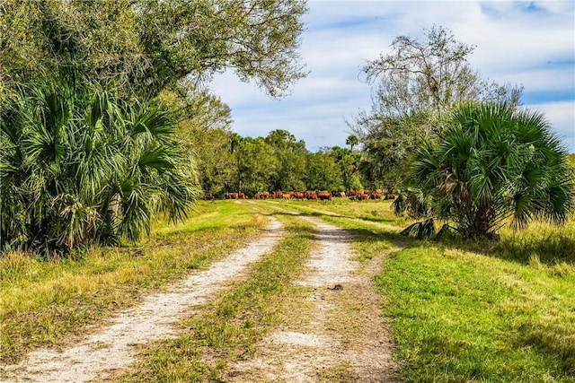 Listing photo 3 for 32000 Okeechobee Rd, Fort Pierce FL 34950