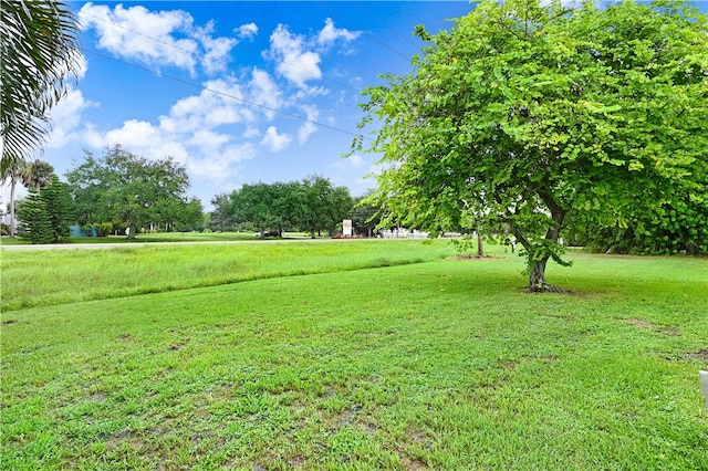 view of yard