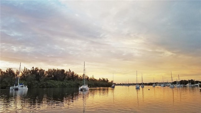 property view of water