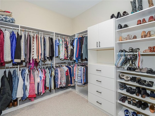 view of walk in closet