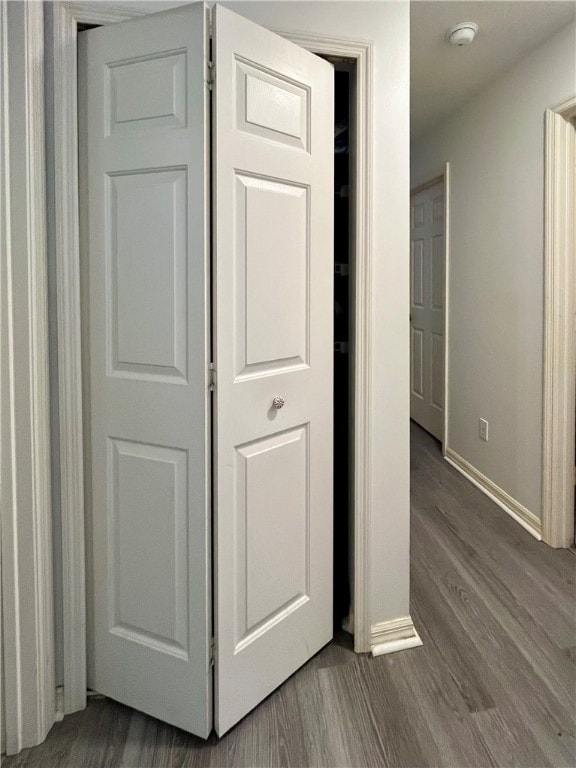 interior space featuring wood-type flooring