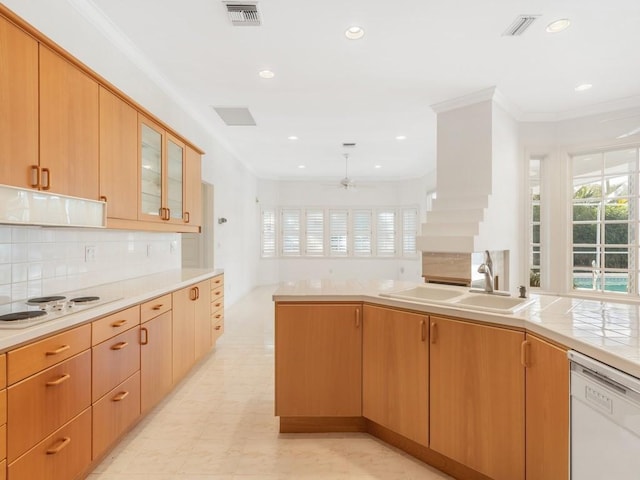 kitchen with white appliances, sink, ceiling fan, decorative backsplash, and ornamental molding