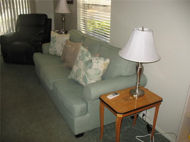 living room with carpet floors