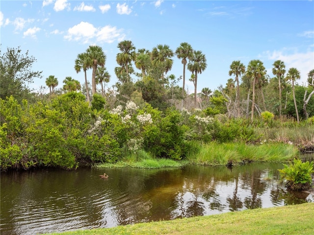 property view of water