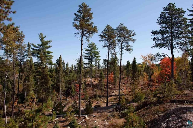 view of local wilderness