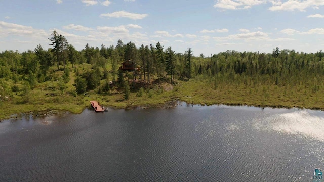 view of property view of water