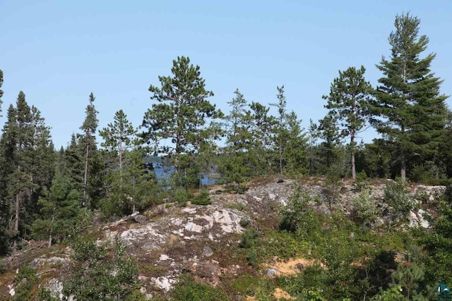 view of local wilderness