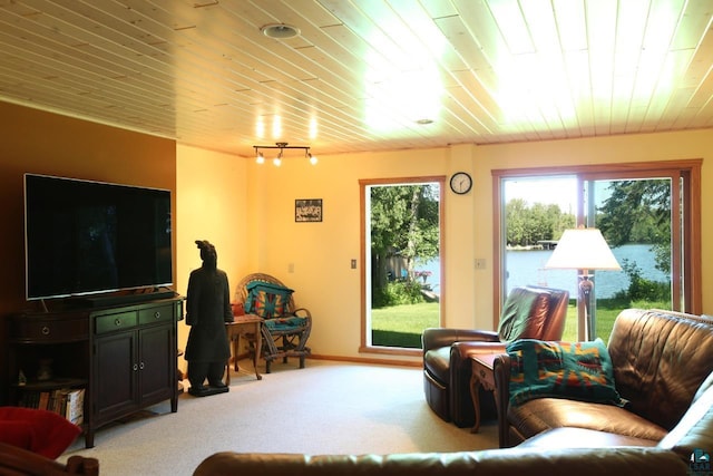 carpeted living room featuring wood ceiling and rail lighting