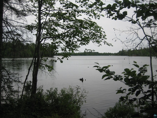 13848 Queens Bay Rd, Ely, MN 55731 - view of water view