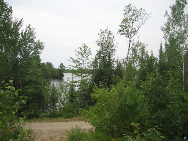 view of property view of water