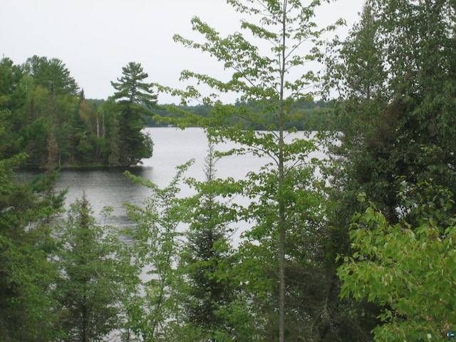 view of water feature