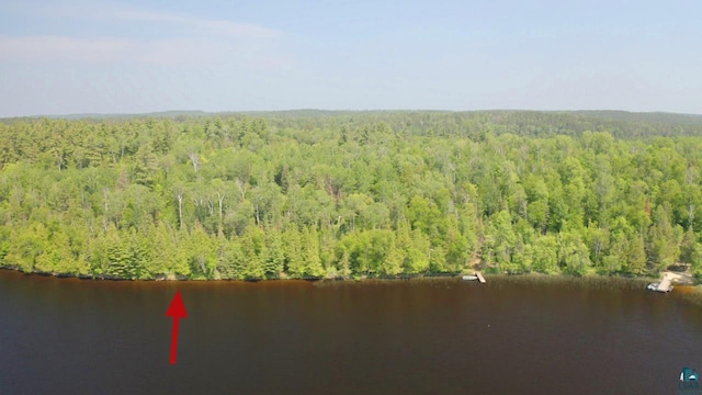 5773 Lake Vermilion N, Tower MN, 55790 land for sale