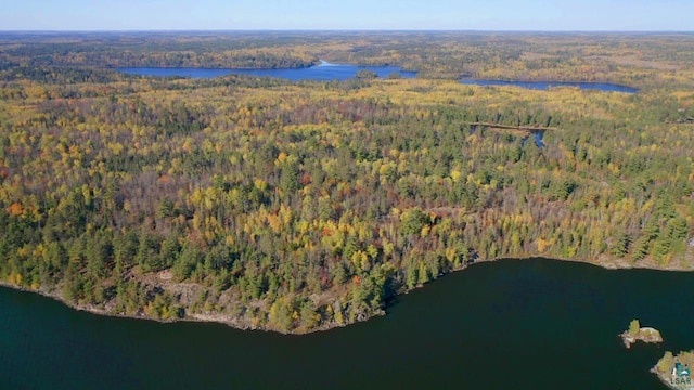 TBD N Norwegian Bay, Cook MN, 55723 land for sale