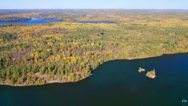 Listing photo 3 for TBD N Norwegian Bay, Cook MN 55723