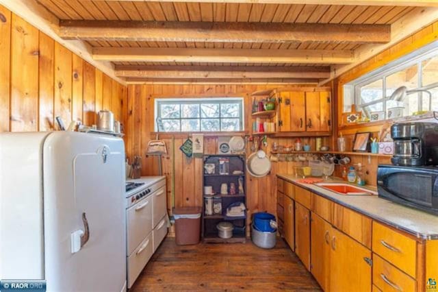 kitchen featuring beam ceiling, a wealth of natural light, wood walls, and dark hardwood / wood-style flooring