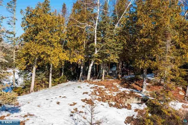 view of snowy landscape