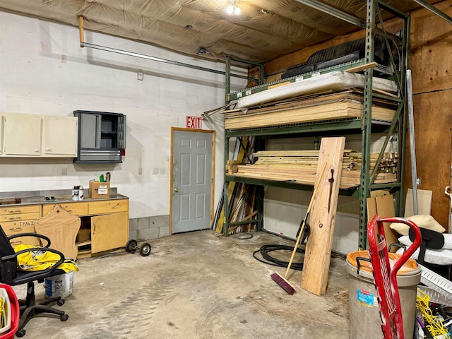 basement featuring a workshop area