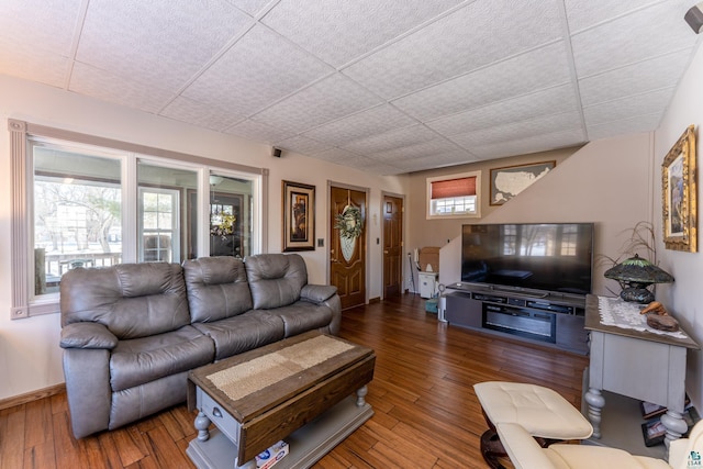 living room featuring a paneled ceiling, dark hardwood / wood-style floors, and a wealth of natural light