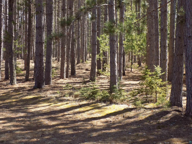 view of local wilderness