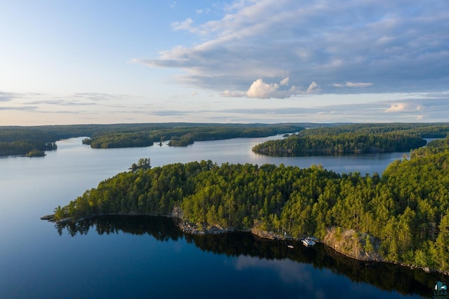 drone / aerial view featuring a water view and a view of trees