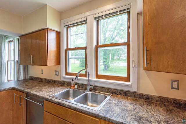 kitchen with dishwasher and sink