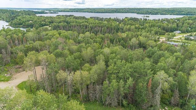 2117 Sibley Ct, Ely MN, 55731 land for sale