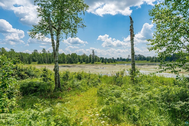 view of nature featuring a rural view