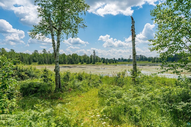 296 Shady Ln, Ely, MN 55731 - view of tree filled area