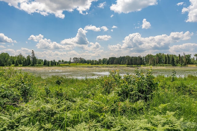 296 Shady Ln, Ely, MN 55731 - view of tree filled area featuring a water view