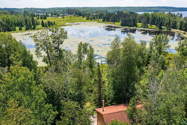 296 Shady Ln, Ely, MN 55731 - bird's eye view of a nearby body of water