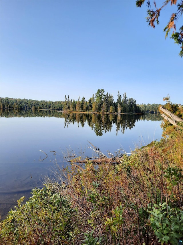 property view of water