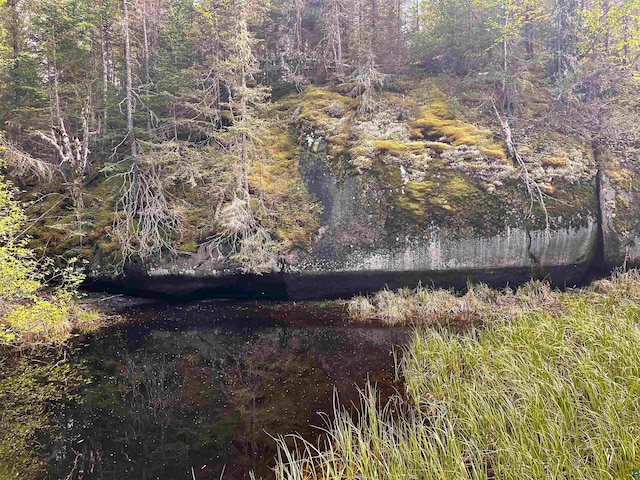 view of landscape with a water view