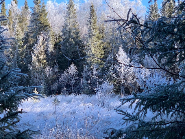 view of snowy view