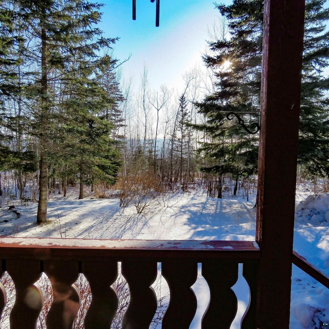 view of yard covered in snow