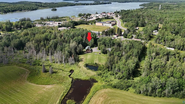 bird's eye view featuring a forest view and a water view