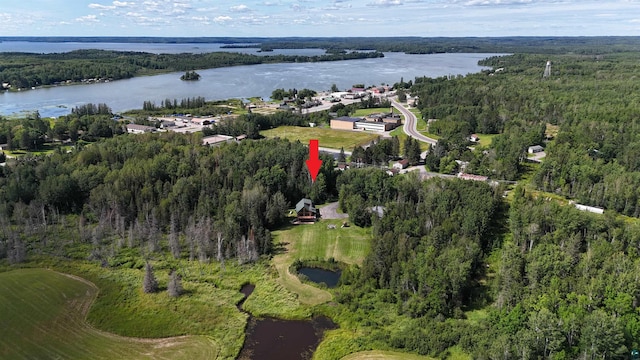 bird's eye view with a water view and a wooded view