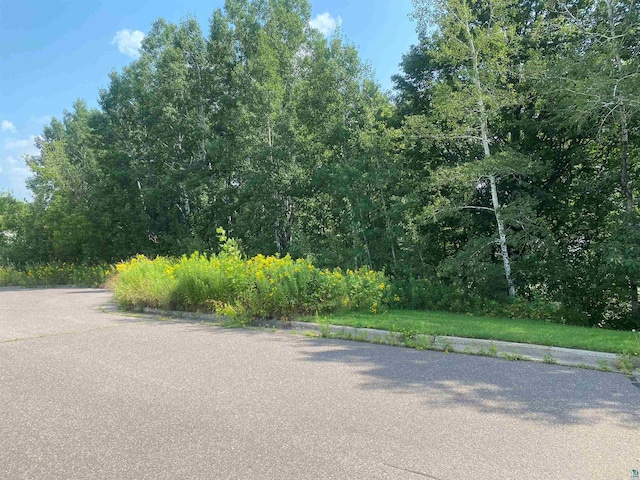 Listing photo 2 for XXX Grant Ave, Cloquet MN 55720